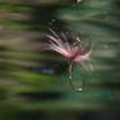 Profile Picture of BrianF (@@Brian_Flemming) on Twitter