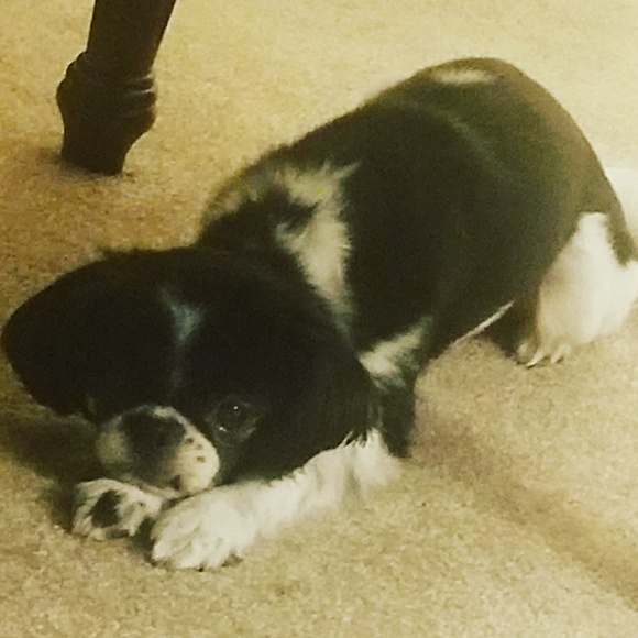 Profile Picture of Adam Mock (@adammock1) on Poshmark