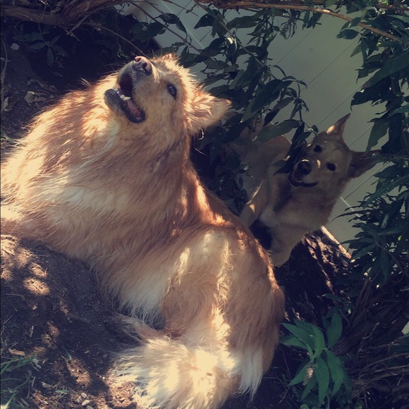 Aleyah Sandos - Poshmark Profile Picture of Aleyah Sandos (@aleyah_sandos) on Poshmark