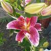 Profile Picture of Dawn Jolly (@@user714146877) on Tiktok