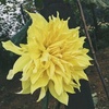Profile Picture of brilliantandy (@@brilliantandy) on Tiktok