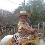 Profile Picture of Jose Antonio Pinal (@pinal_piba) on Instagram