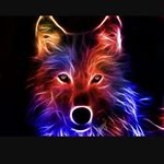 Profile Picture of tommy_bennett_15 (@tommy_bennett_15) on Instagram