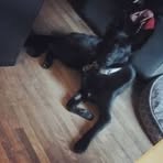 Dora Kaplan - Facebook Profile Picture of Dora Kaplan (@Dora-Kaplan) on Facebook