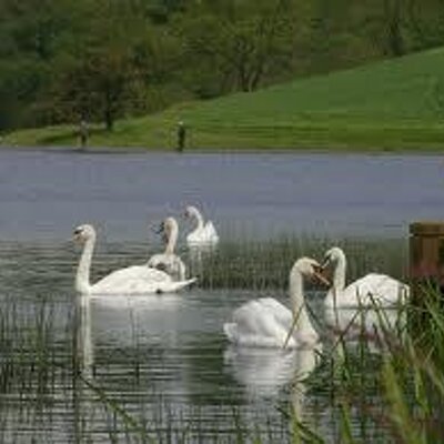 Profile Picture of Anabel Cota (@anabelitacota) on Twitter