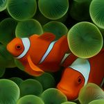 Profile Picture of Alena Jirásková (@alena_jir) on Instagram