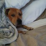 Profile Picture of Jason Edmonds (@jaymarcus32) on Instagram