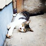 Profile Picture of kenneth Elbert (@kenneth_elbert) on Instagram