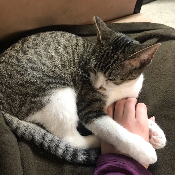 Profile Picture of Hannah Strautman (@hstrautman) on Poshmark