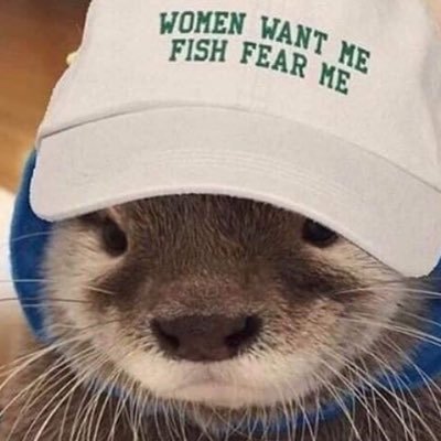 Profile Picture of Shanzzz (@shannon__devlin) on Twitter