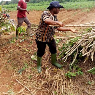 Profile Picture of David S. Kolleh (@david.kolleh.92) on Facebook