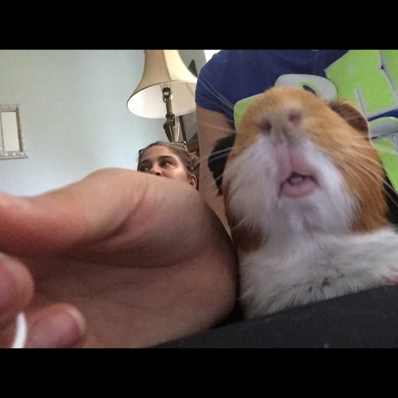 Profile Picture of Marisol Portes (@mareeposh16) on Poshmark