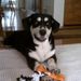 Profile Picture of Jennifer Reynaert (@gvsujenn) on Pinterest