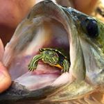 Profile Picture of Evan Ramsay (@evanramsay32) on Instagram