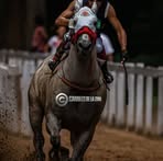 Profile Picture of Erick Pavon (@erick.pavon.851942) on Facebook