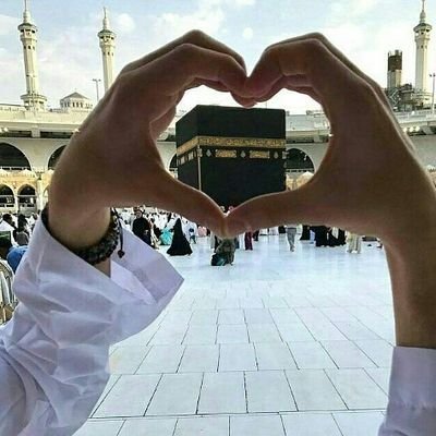 Profile Picture of Mohamed_Qasim_Alkhatib (@Mohamed_Qasim_1) on Twitter