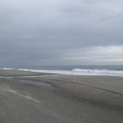 Ann Sandor - Twitter Profile Picture of Ann Sandor (@anniebug91) on Twitter