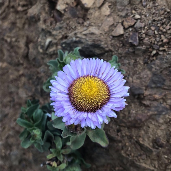 Gissell Garcia - Poshmark Profile Picture of Gissell Garcia (@gissp) on Poshmark