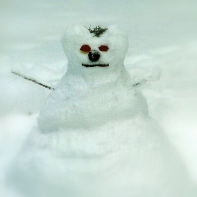 Profile Picture of Teri Whitaker (@SampsonGuadalup) on Twitter