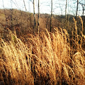 Profile Picture of Cody Runyon (@codyrunyon1741) on Youtube