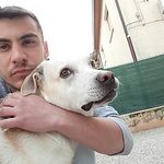 Profile Picture of Andrei Popescu (@pope10king) on Flickr