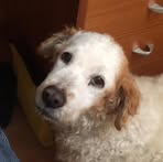 Profile Picture of Shellie Baumback (@shellie.baumback) on Facebook