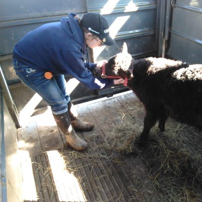 Profile Picture of Britney Harper (@Dragon_Harper7) on Twitter