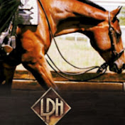 Profile Picture of Kip Larson (@lphperformancehorses) on Youtube