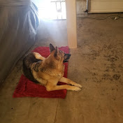 Profile Picture of Michael Horch (@xVODxMONSTER) on Youtube