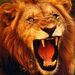 Profile Picture of Omar Al Naser (@omaralnasery) on Pinterest