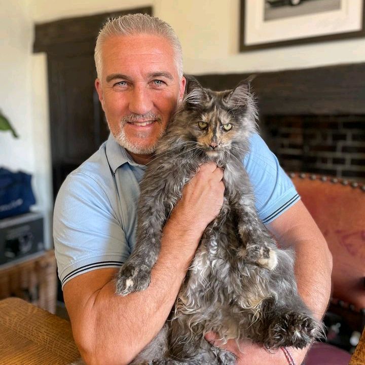 Profile Picture of Luis James (@luij2345) on Tiktok