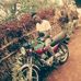 Profile Picture of Fuad Kamal (@fuad.kamal.14855) on Facebook