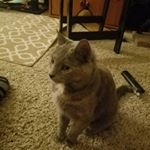 Profile Picture of Christopher Ryan Aiken (@christopher.r.aiken) on Instagram