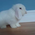 Profile Picture of nancy pinelli (@n.pinelli) on Instagram