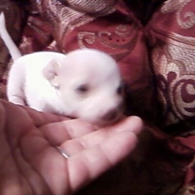 Profile Picture of Cecilia Coker (@Cegec210) on Twitter