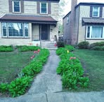 Profile Picture of Marlon McElwaine (@marlon.mcelwaine.2025) on Facebook