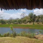 Dina.b.singh - Instagram Profile Picture of Dina.b.singh (@dinabailey50) on Instagram