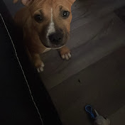 Profile Picture of Shanice Thomas (@shanicethomas8631) on Youtube