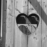 Profile Picture of Danielle Guy (@dng39) on Flickr