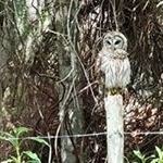 Profile Picture of Paul Swarts (@paul.swarts.5895) on Instagram