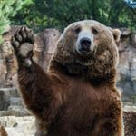 Денис Заводцков - Instagram Profile Picture of Денис Заводцков (@dennismedvedsupersex) on Instagram