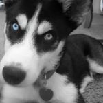 Profile Picture of Tyler Frick (@tyler.frick.7) on Instagram