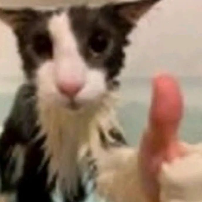 Profile Picture of Blake Haggai (@user4551043851139) on Tiktok