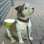 Profile Picture of Barry Hedges (@bazhedges_) on Instagram