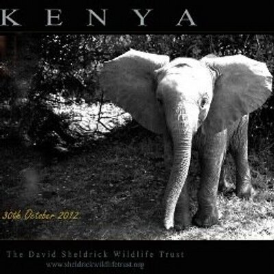 Andi - Twitter Profile Picture of Andi (@ARSLovesAnimals) on Twitter