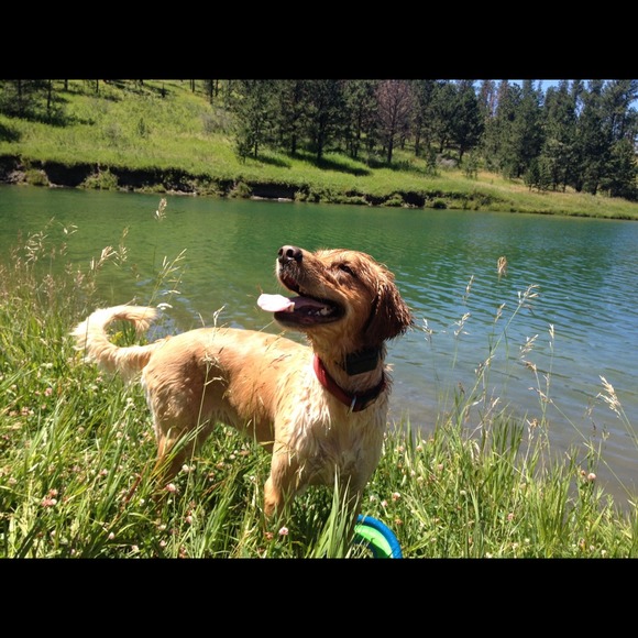 Lucie Huettl - Poshmark Profile Picture of Lucie Huettl (@margot12375) on Poshmark