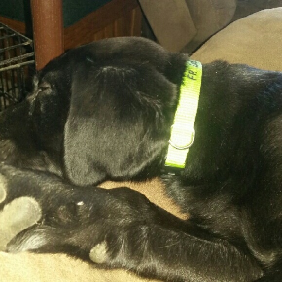 Profile Picture of Jessica Dowler (@jfranlee) on Poshmark