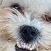 Profile Picture of Nicholas Bernstein (@nicholas.scott.319452) on Facebook