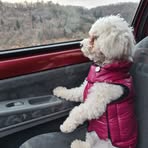 Profile Picture of Daniel Bordes (@daniel.bordes.56) on Facebook