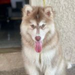 Profile Picture of s.leigh_er (@s.leigh_er) on Instagram